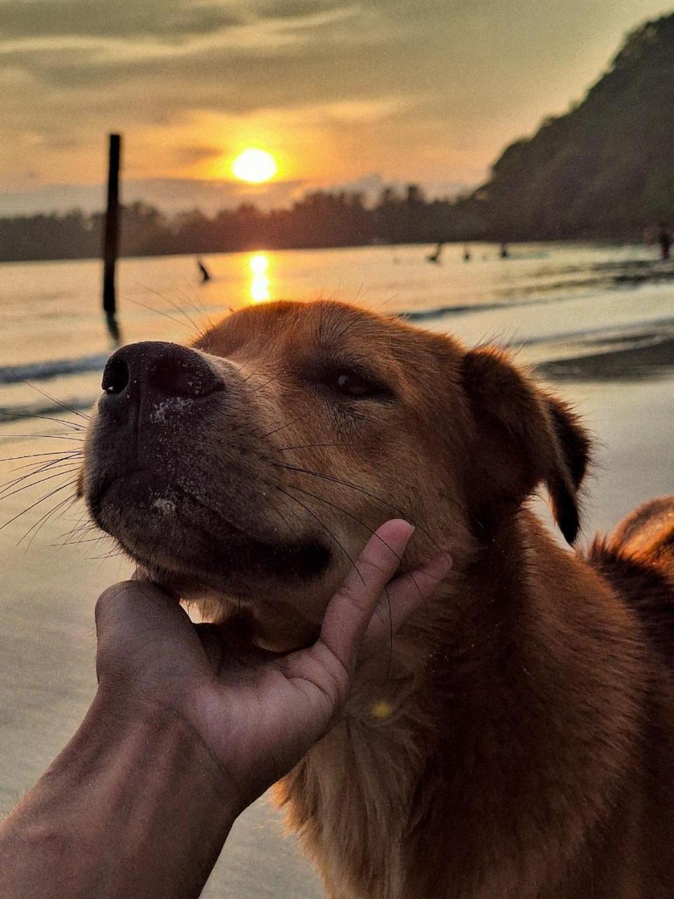 Koh Kood Neverland Beach Resort Ko Kut Ngoại thất bức ảnh
