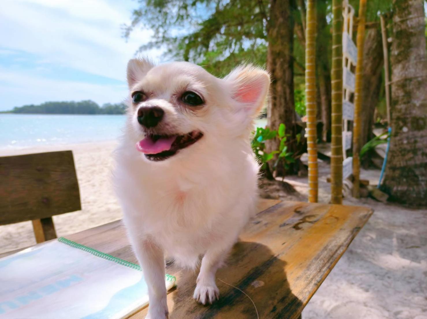 Koh Kood Neverland Beach Resort Ko Kut Ngoại thất bức ảnh