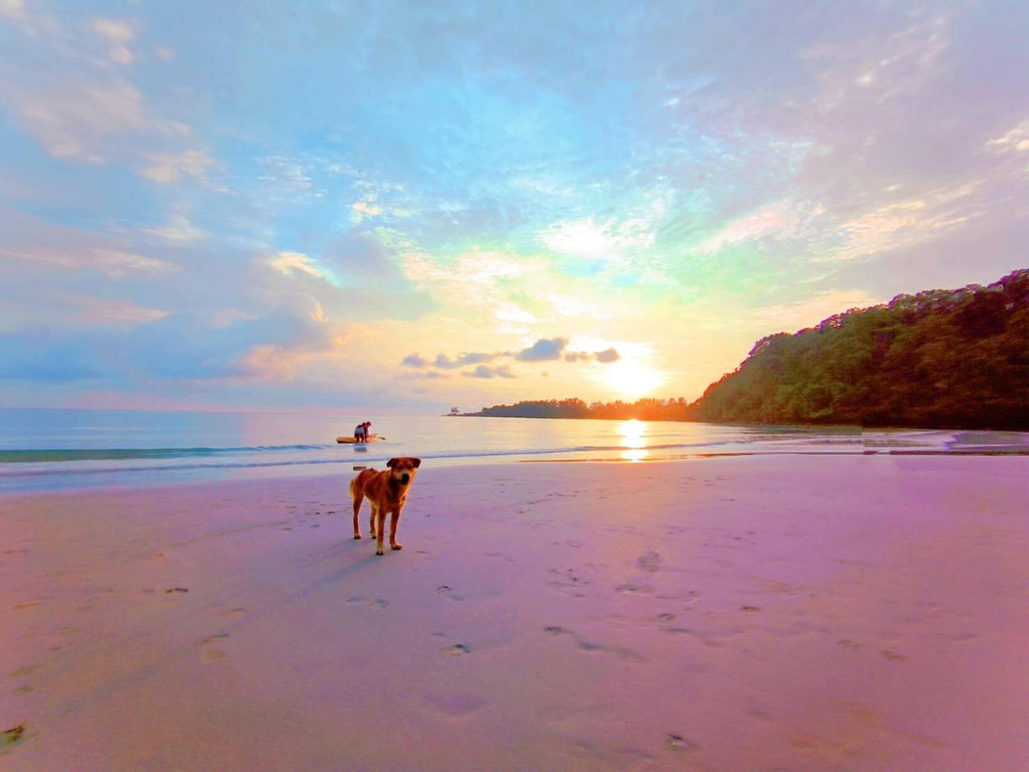 Koh Kood Neverland Beach Resort Ko Kut Ngoại thất bức ảnh